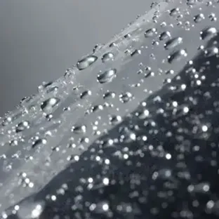 Rain cover and bug net