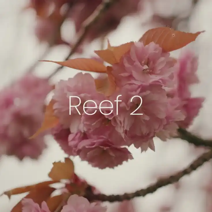 Reef 2 Stroller, image 2 of 11