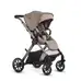 Reef 2 Stroller